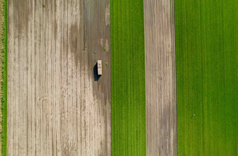 Aerial view of crop plots divided into distinct field sections.