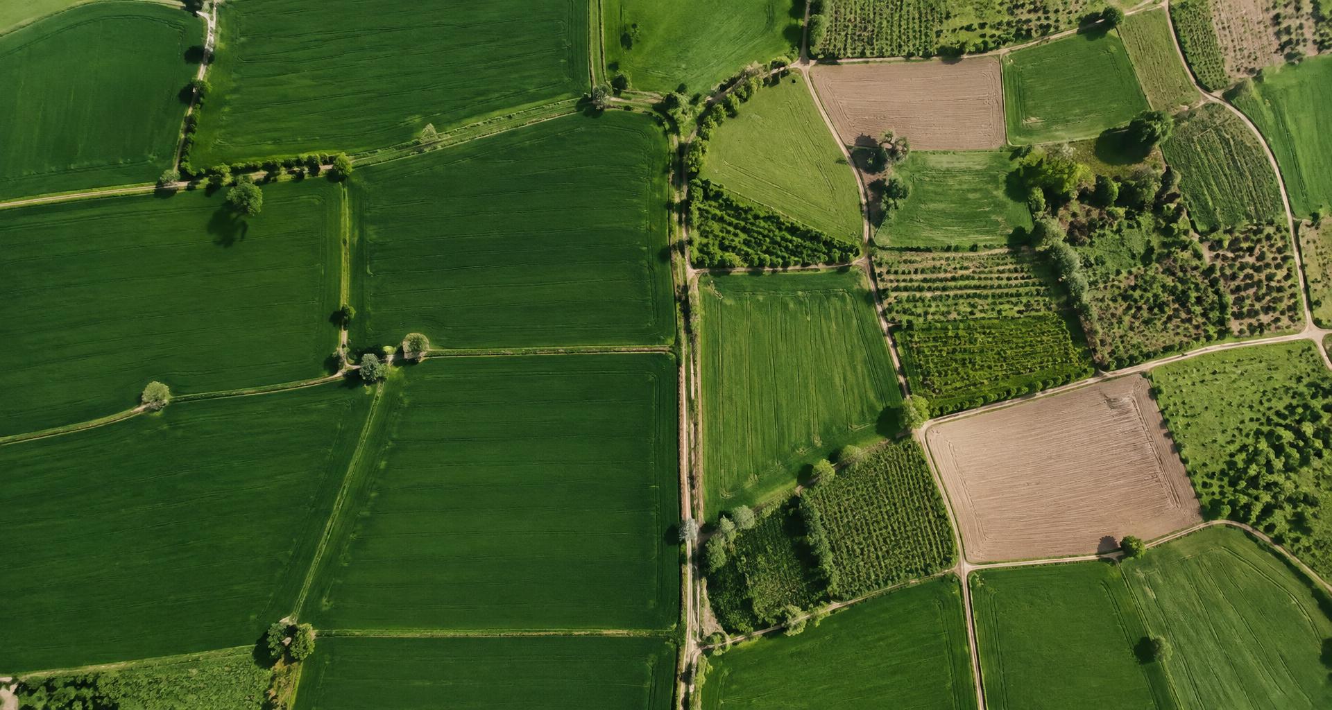 Illustrative agricultural field landscape