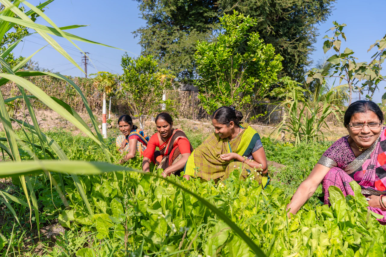 Women working together among green crops in a field.